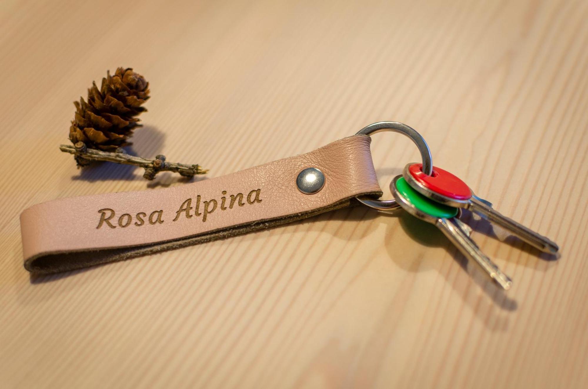 Rosa Alpina - Appartamento Nelle Dolomiti Dobbiaco Luaran gambar